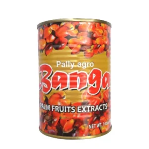 Grace Salt Fish Fritters Mix (270g)